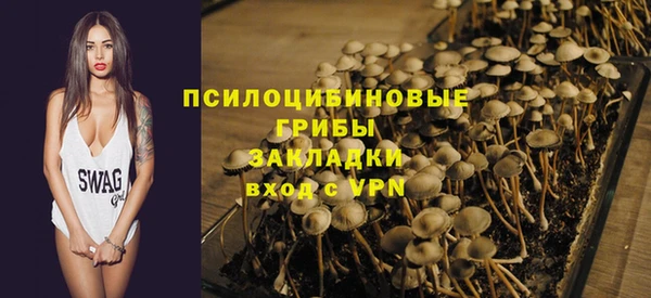 ешки Туринск