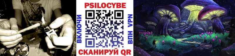 Галлюциногенные грибы Psilocybine cubensis  как найти наркотики  blacksprut как зайти  Удачный 